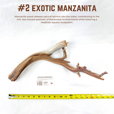 Exotic Manzanita | WYSIWYG Pieces