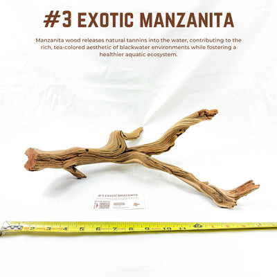 Exotic Manzanita | WYSIWYG Pieces