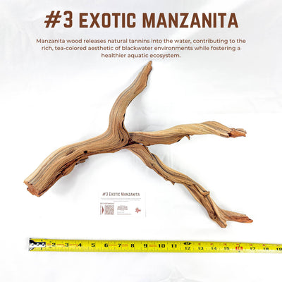 Exotic Manzanita | WYSIWYG Pieces