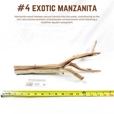 Exotic Manzanita | WYSIWYG Pieces
