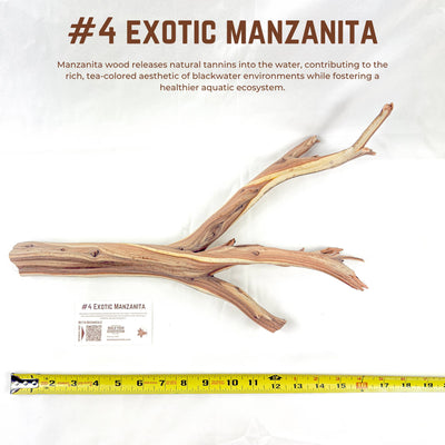 Exotic Manzanita | WYSIWYG Pieces