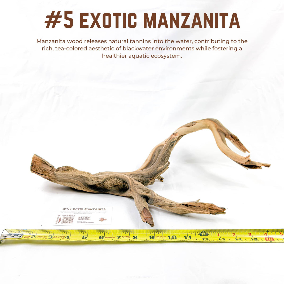 Exotic Manzanita | WYSIWYG Pieces
