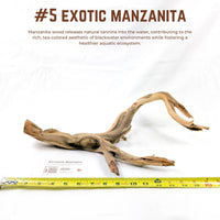 Exotic Manzanita | WYSIWYG Pieces