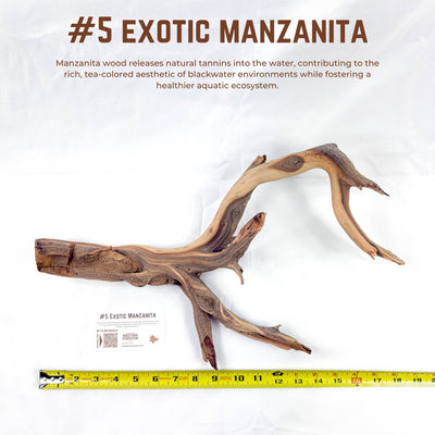 Exotic Manzanita | WYSIWYG Pieces