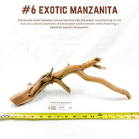 Exotic Manzanita | WYSIWYG Pieces