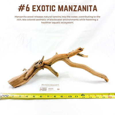Exotic Manzanita | WYSIWYG Pieces