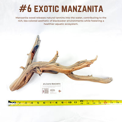Exotic Manzanita | WYSIWYG Pieces