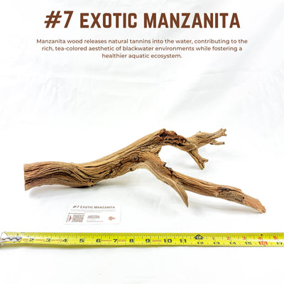 Exotic Manzanita | WYSIWYG Pieces