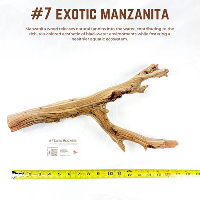 Exotic Manzanita | WYSIWYG Pieces