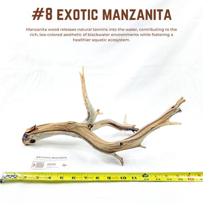 Exotic Manzanita | WYSIWYG Pieces