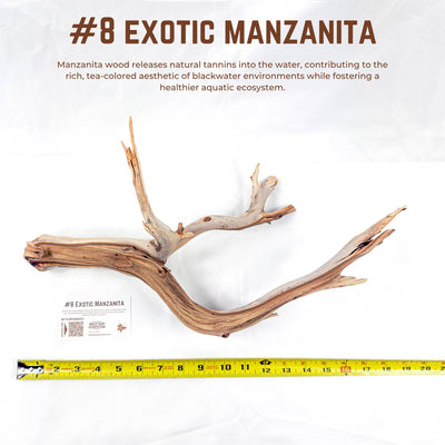 Exotic Manzanita | WYSIWYG Pieces