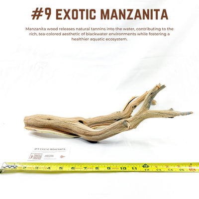 Exotic Manzanita | WYSIWYG Pieces