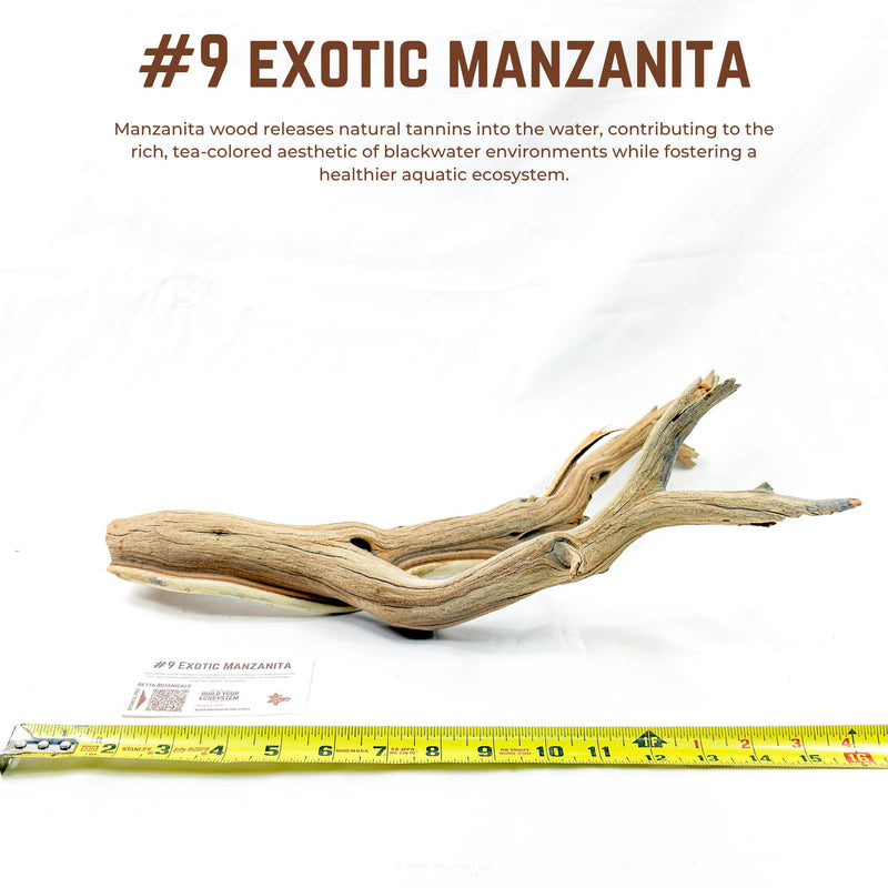 Exotic Manzanita | WYSIWYG Pieces