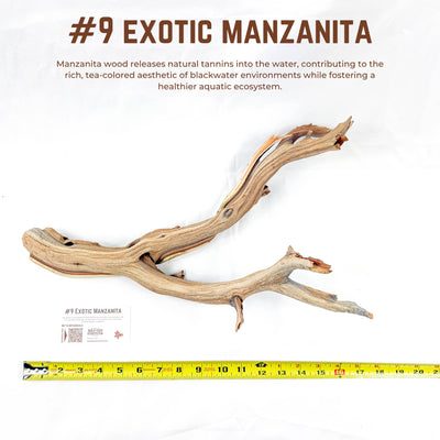 Exotic Manzanita | WYSIWYG Pieces