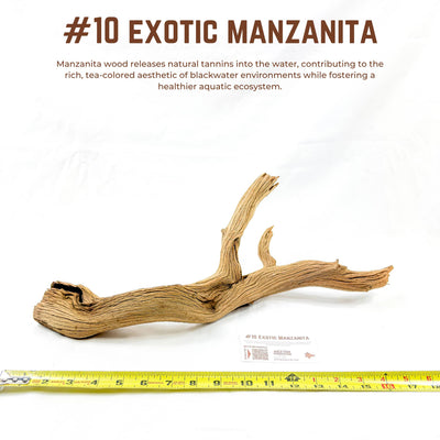 Exotic Manzanita | WYSIWYG Pieces