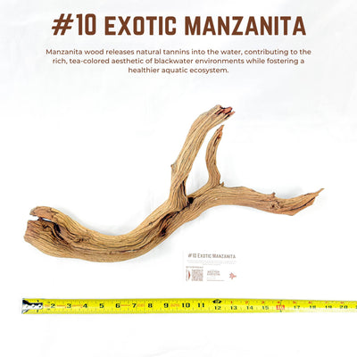 Exotic Manzanita | WYSIWYG Pieces