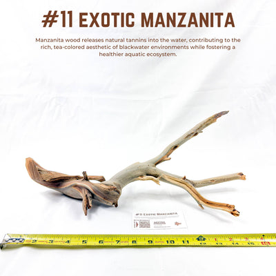 Exotic Manzanita | WYSIWYG Pieces