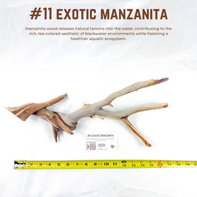 Exotic Manzanita | WYSIWYG Pieces