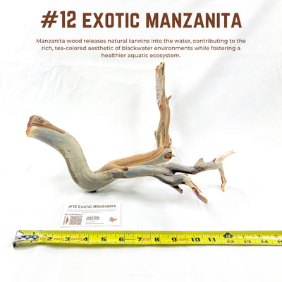 Exotic Manzanita | WYSIWYG Pieces