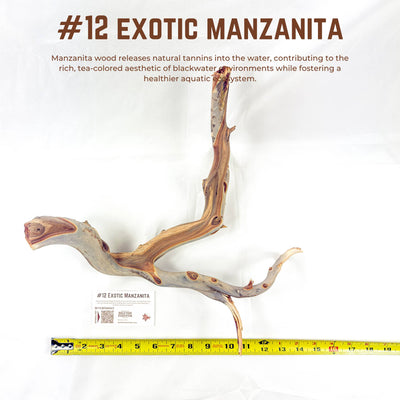 Exotic Manzanita | WYSIWYG Pieces