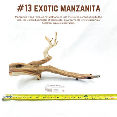 Exotic Manzanita | WYSIWYG Pieces