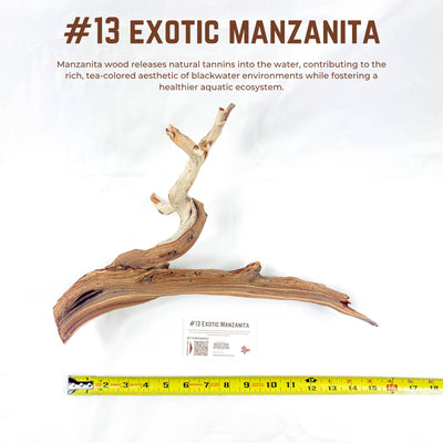 Exotic Manzanita | WYSIWYG Pieces