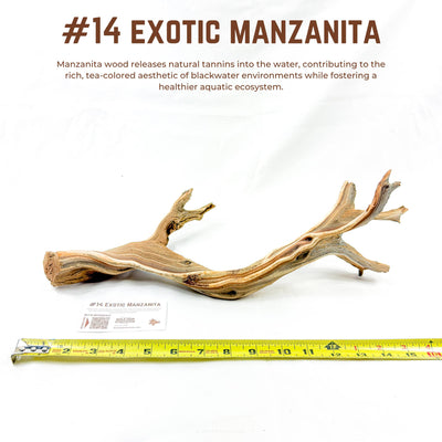 Exotic Manzanita | WYSIWYG Pieces
