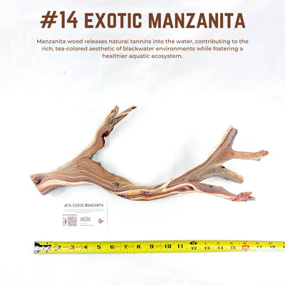 Exotic Manzanita | WYSIWYG Pieces