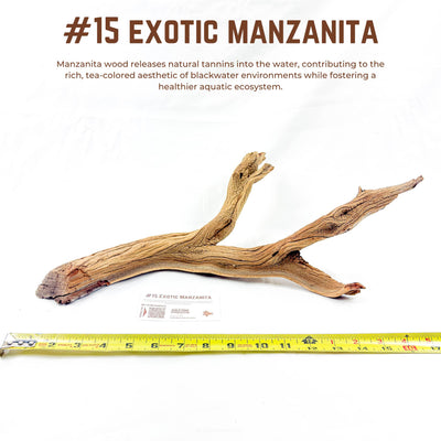 Exotic Manzanita | WYSIWYG Pieces