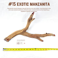 Exotic Manzanita | WYSIWYG Pieces