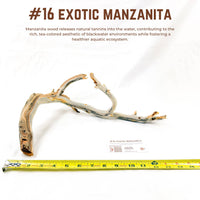 Exotic Manzanita | WYSIWYG Pieces
