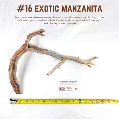Exotic Manzanita | WYSIWYG Pieces