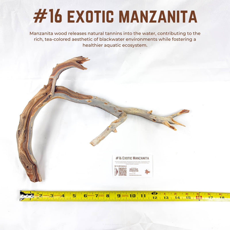 Exotic Manzanita | WYSIWYG Pieces