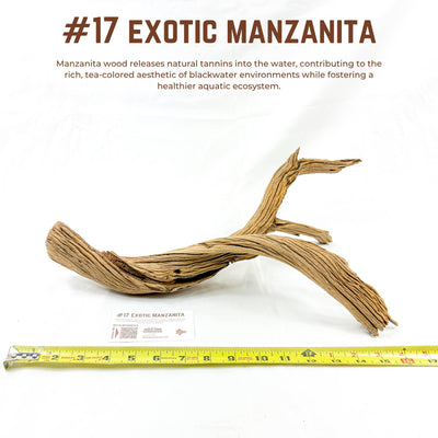 Exotic Manzanita | WYSIWYG Pieces