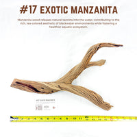 Exotic Manzanita | WYSIWYG Pieces
