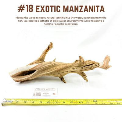 Exotic Manzanita | WYSIWYG Pieces