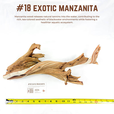 Exotic Manzanita | WYSIWYG Pieces