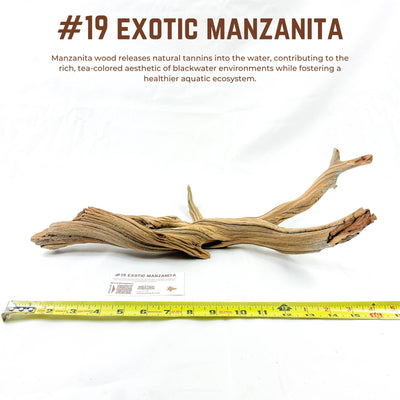 Exotic Manzanita | WYSIWYG Pieces