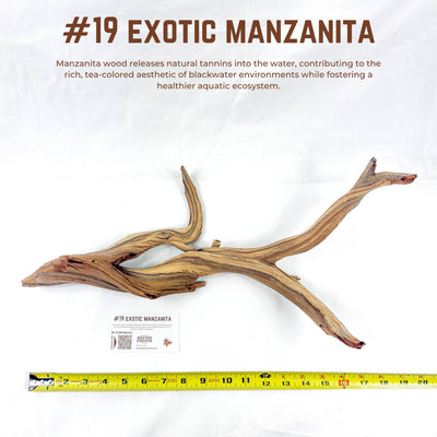Exotic Manzanita | WYSIWYG Pieces