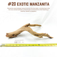 Exotic Manzanita | WYSIWYG Pieces