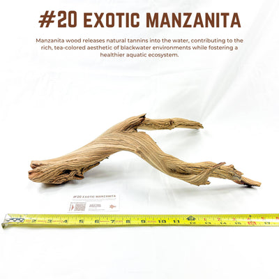Exotic Manzanita | WYSIWYG Pieces