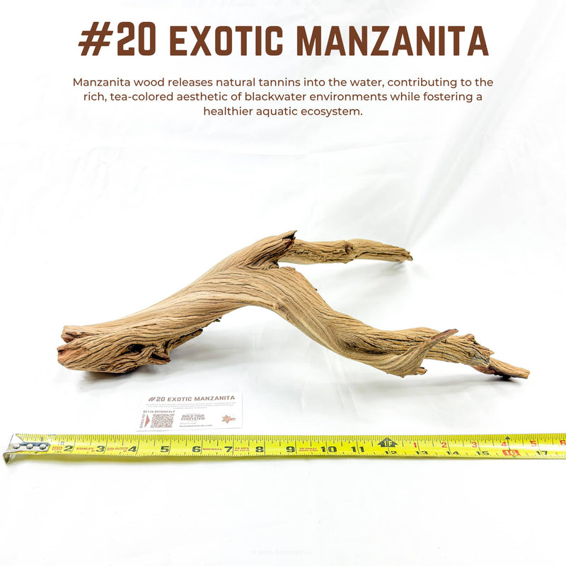Exotic Manzanita | WYSIWYG Pieces