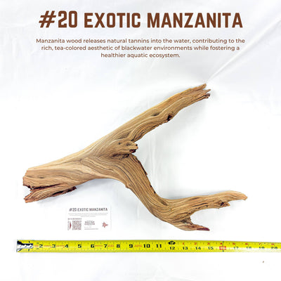 Exotic Manzanita | WYSIWYG Pieces
