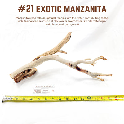 Exotic Manzanita | WYSIWYG Pieces