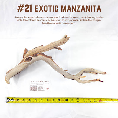 Exotic Manzanita | WYSIWYG Pieces