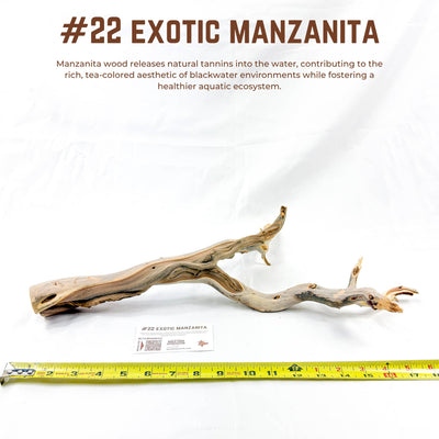 Exotic Manzanita | WYSIWYG Pieces