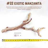 Exotic Manzanita | WYSIWYG Pieces