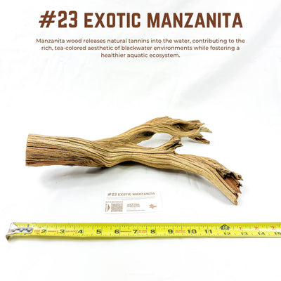 Exotic Manzanita | WYSIWYG Pieces