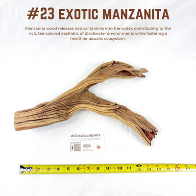 Exotic Manzanita | WYSIWYG Pieces