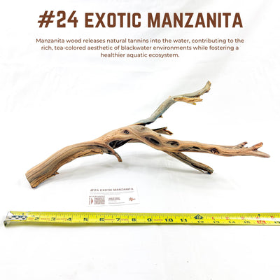 Exotic Manzanita | WYSIWYG Pieces